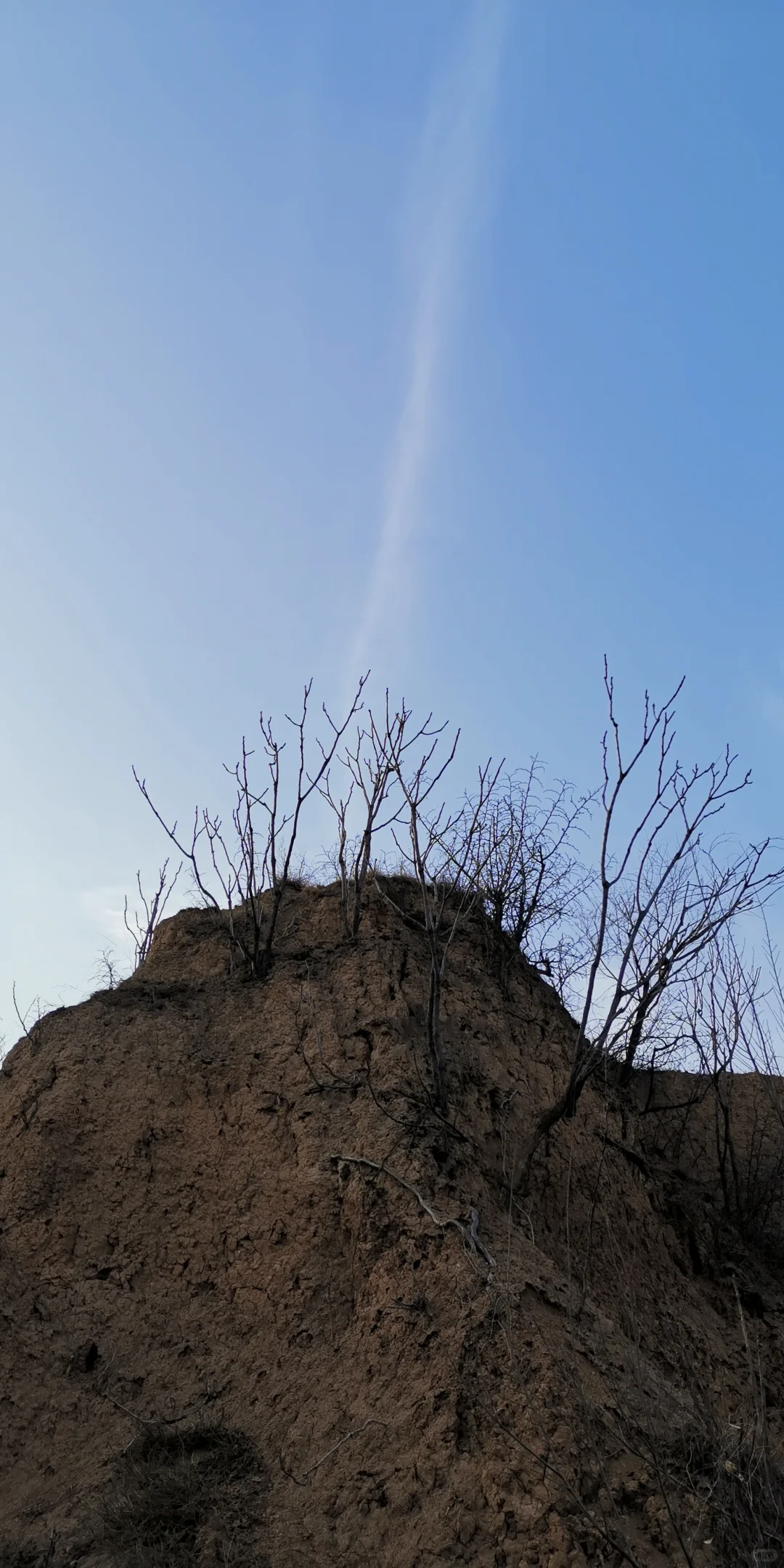 �����ڼ�����ɽ���������ڸ��