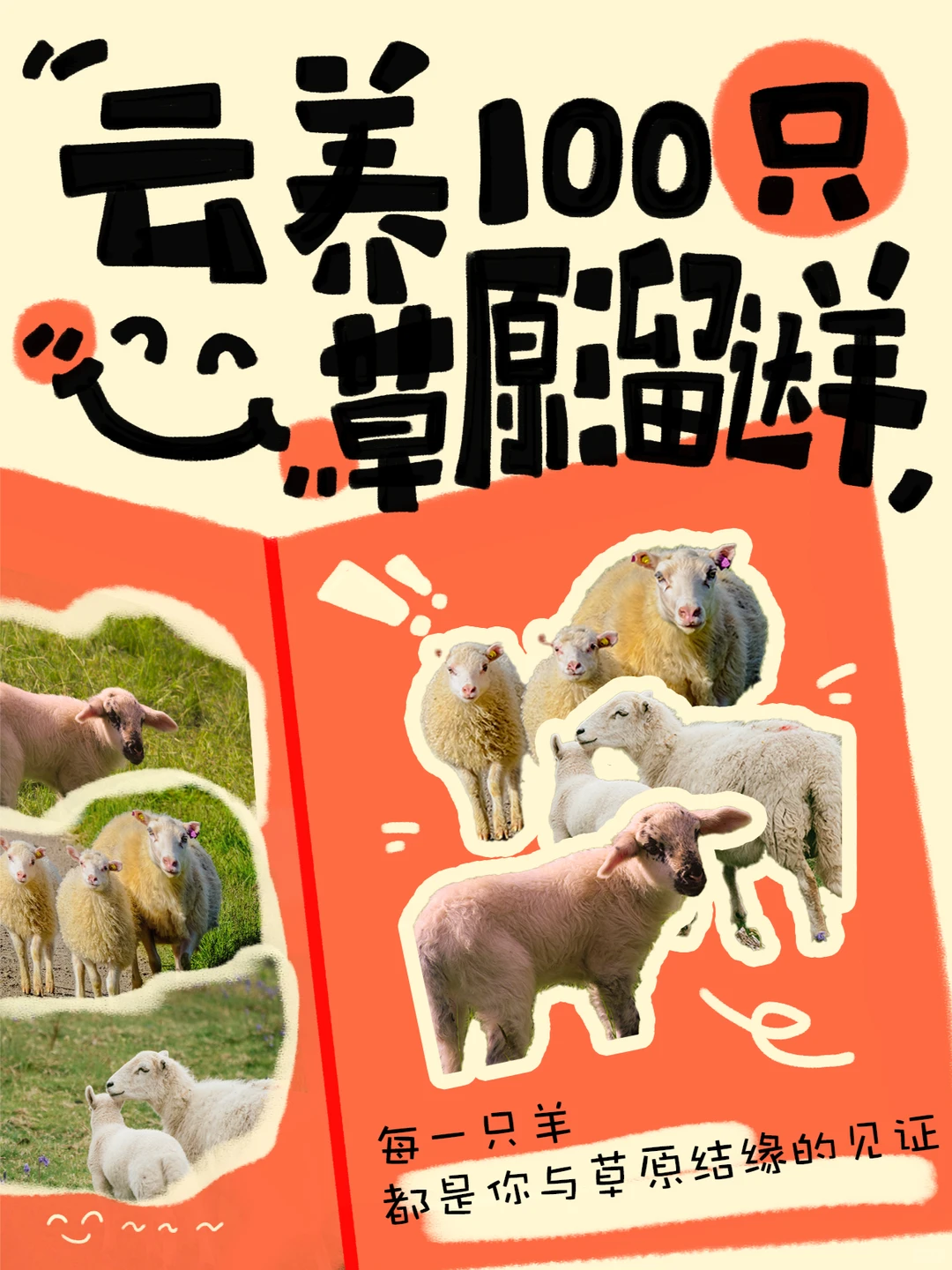 ϣ����ԭ��С����������㣬һֻ���о���ֻ