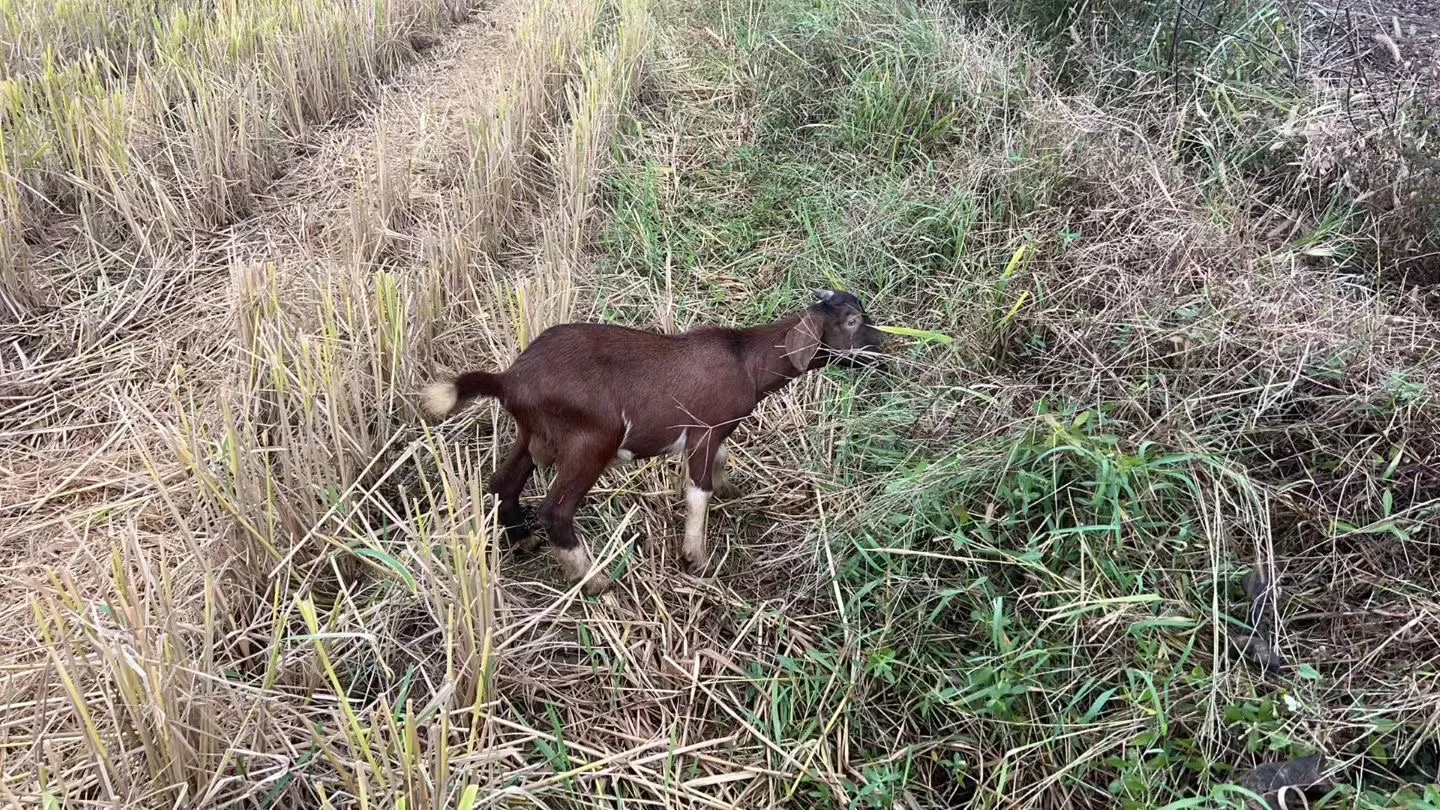 �����ˣ���������???