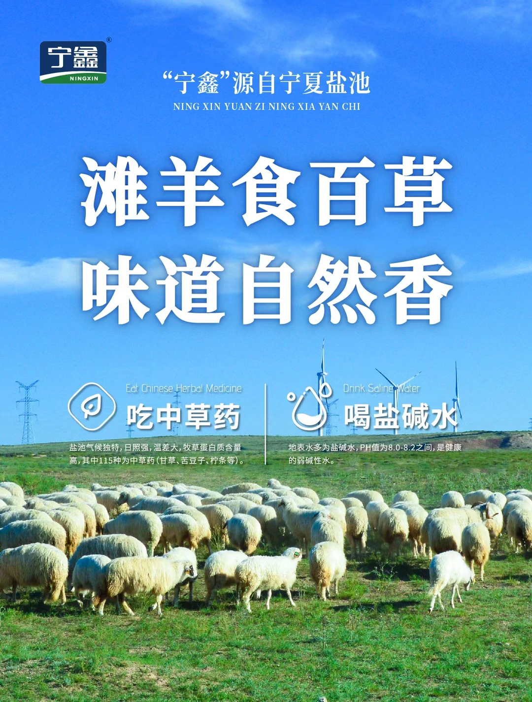 ���ͬ���γ�̲����Դר��