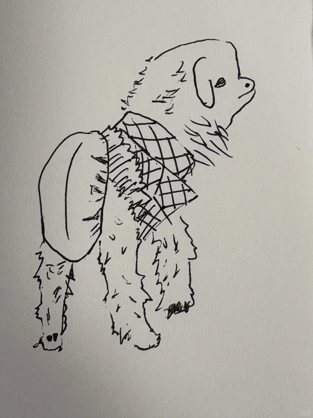 ���ں����׵��۹⻭��֮��ֽ���С��