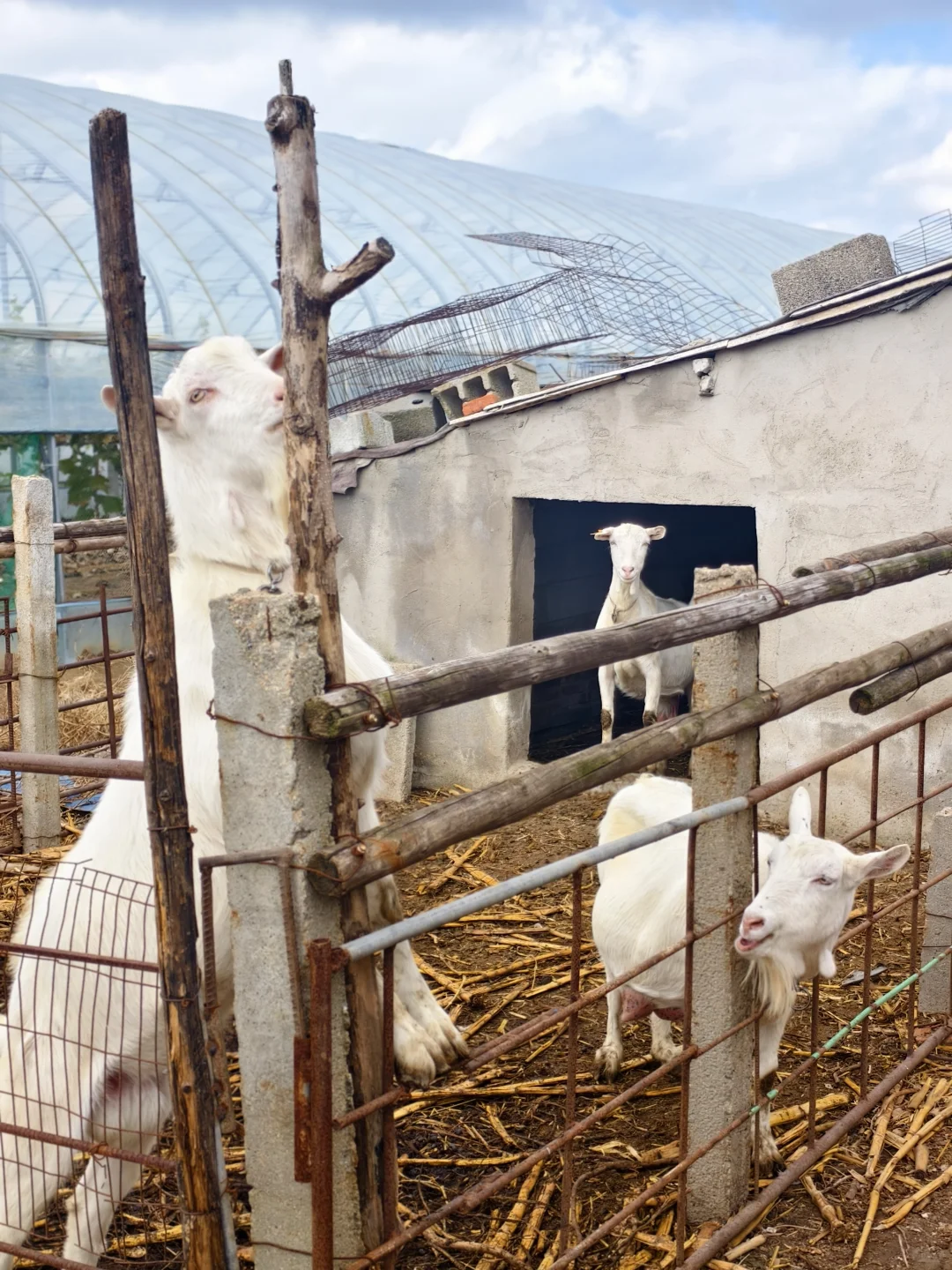 ��������С�򳤴���~