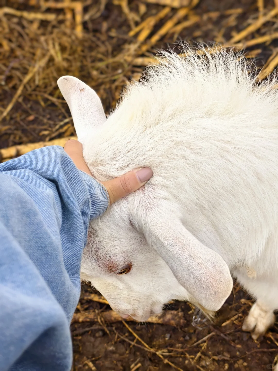 ��������С�򳤴���~