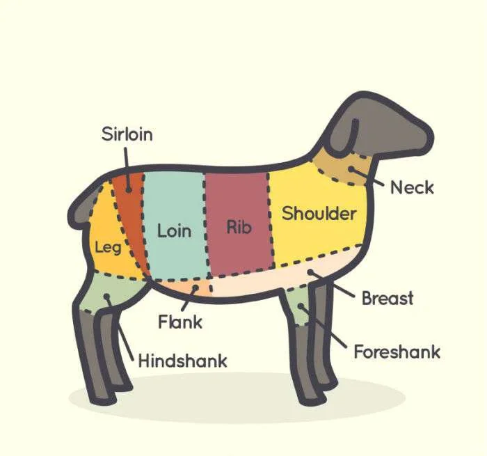 ɽ����ֳ��ҵ