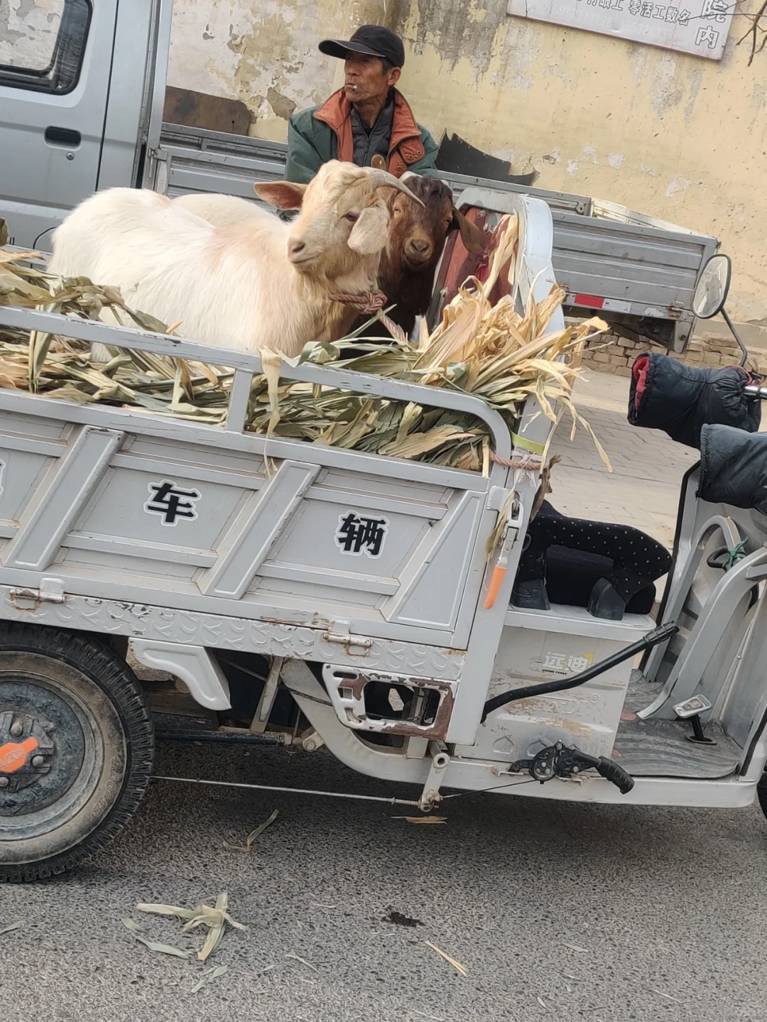 ������Ϣ�ǲ��Ǻ�Ũ