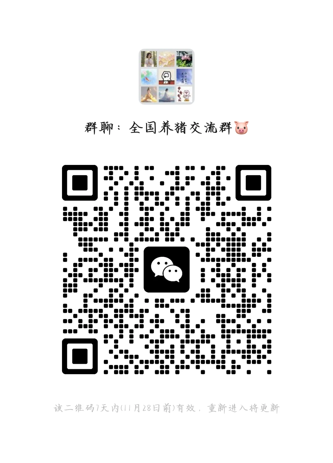 ������ֳȺ��