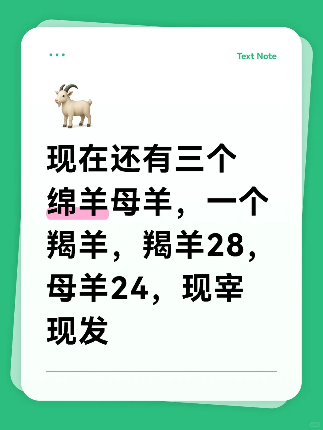 ��������