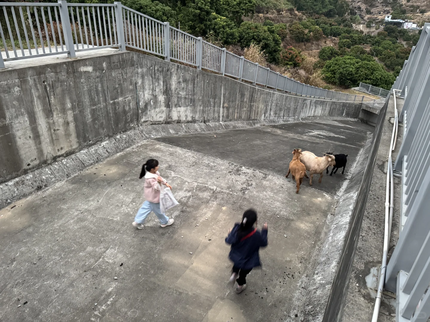 ������?��Ȼֲ�����