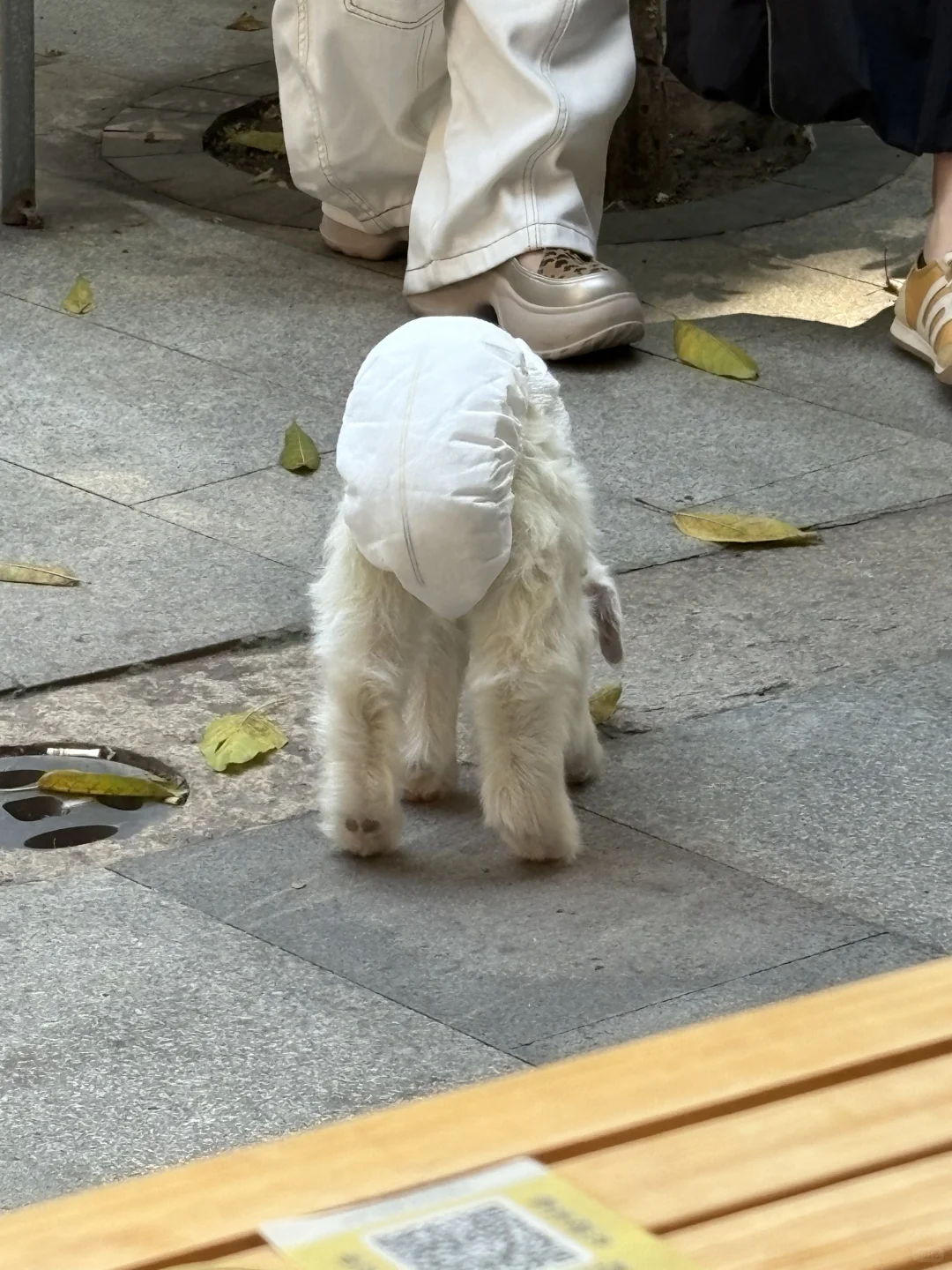 ���ں����׵��۹⻭��֮��ֽ���С��