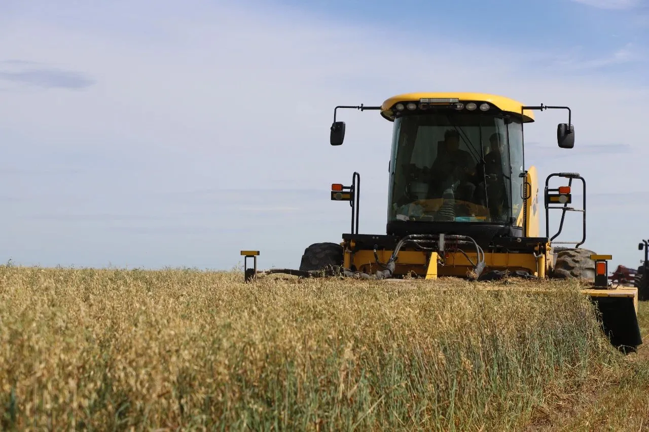 ͻȪ����Ķ������ջ�æ?