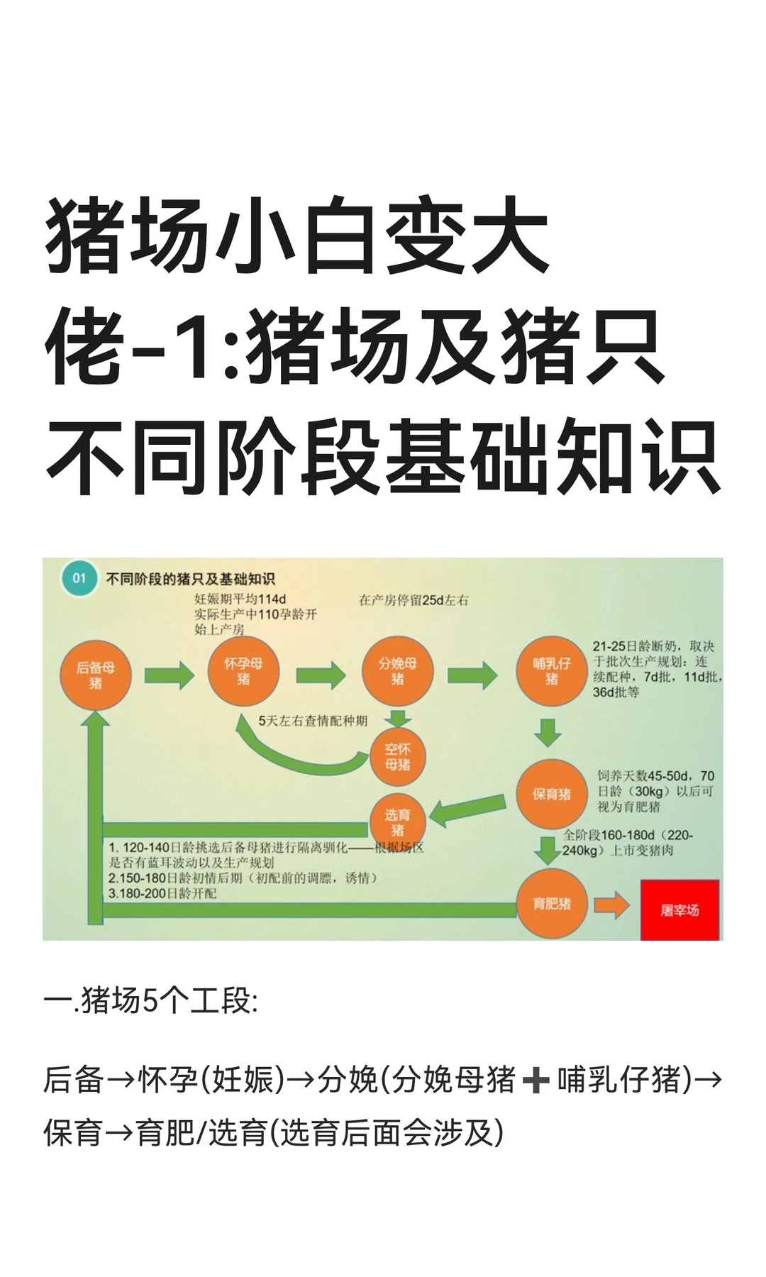 ����С�ױ����-1:��������ֻ��ͬ�׶λ���