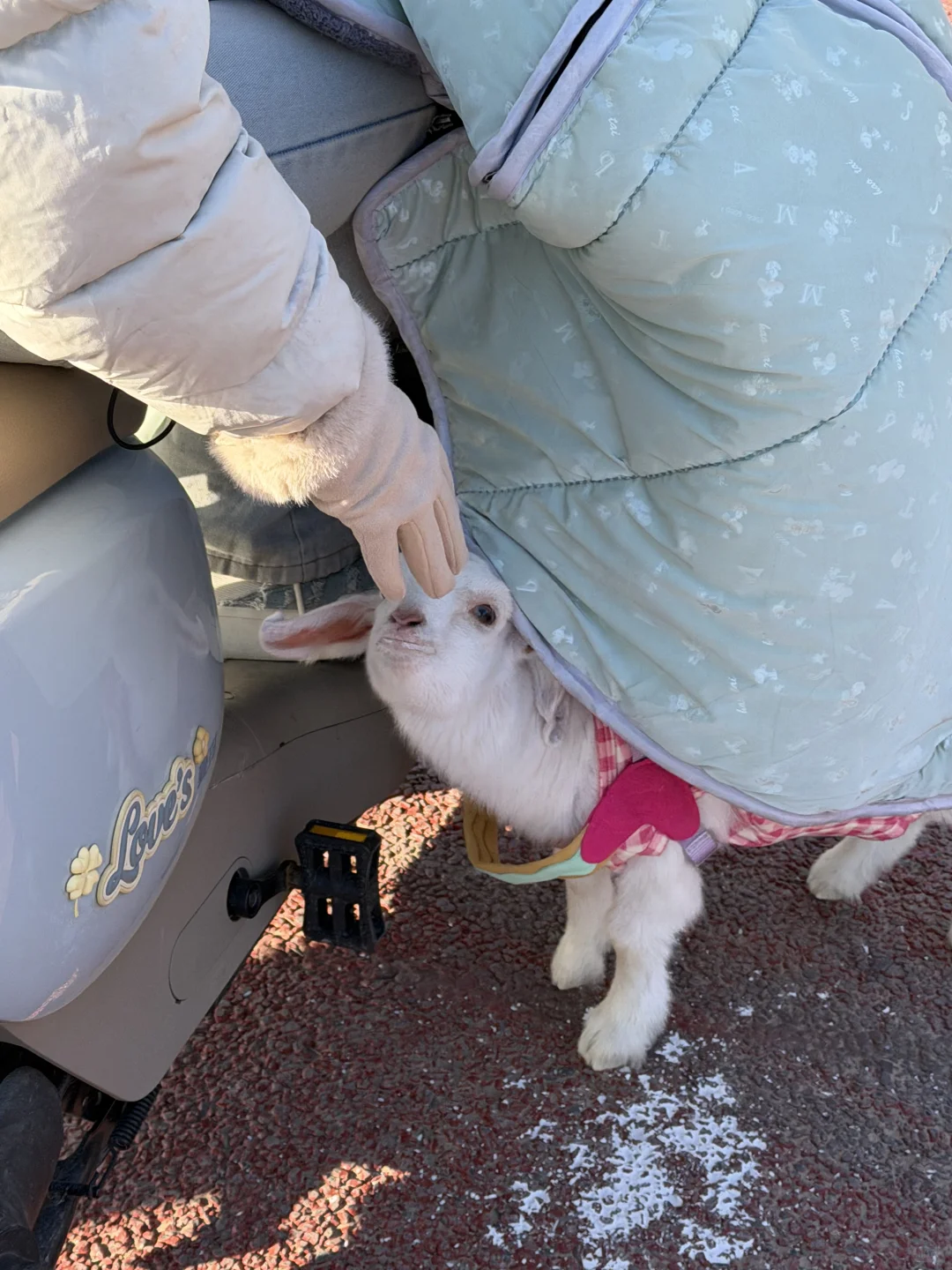 �����򱦱�