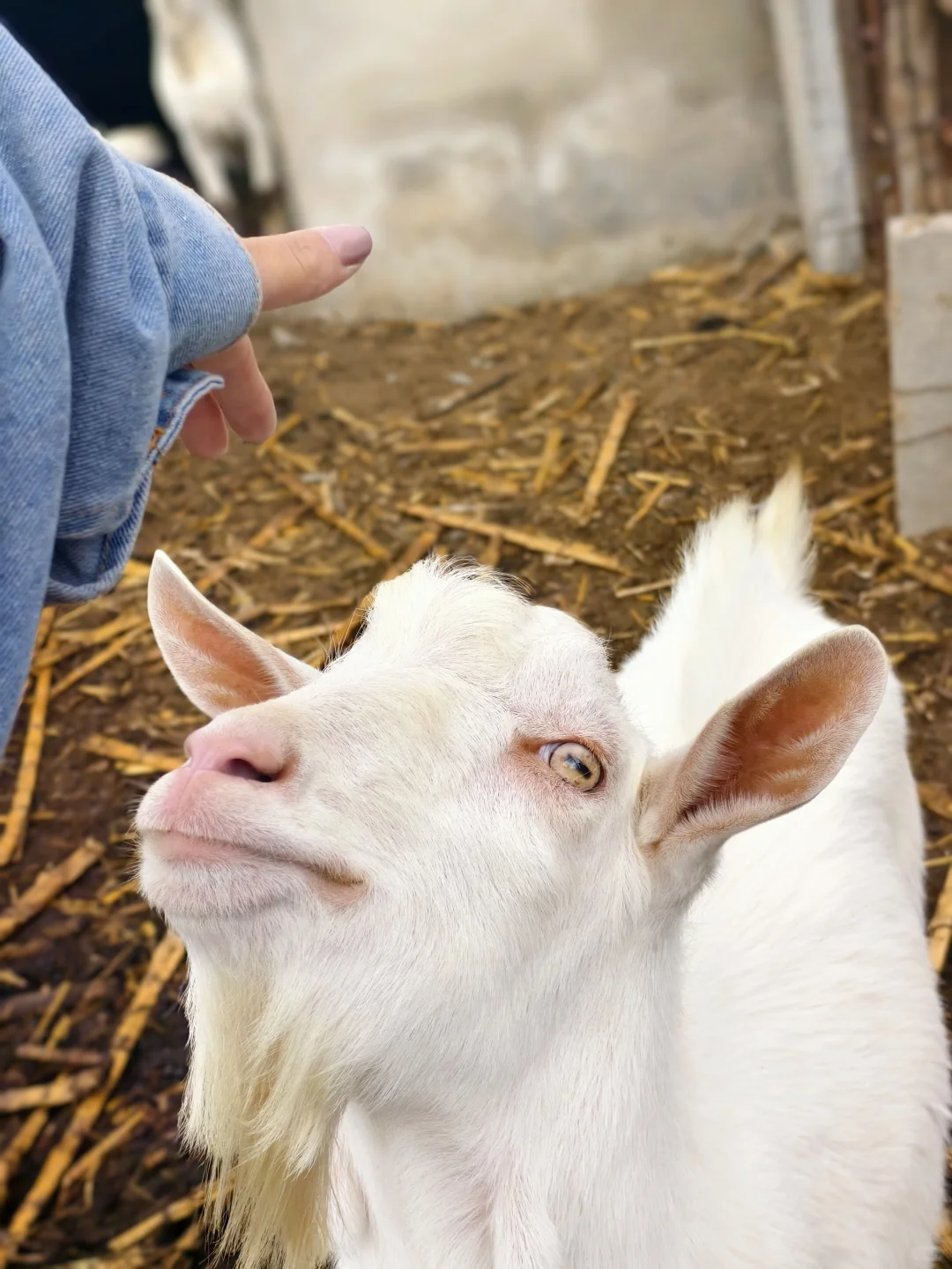 ��������С�򳤴���~