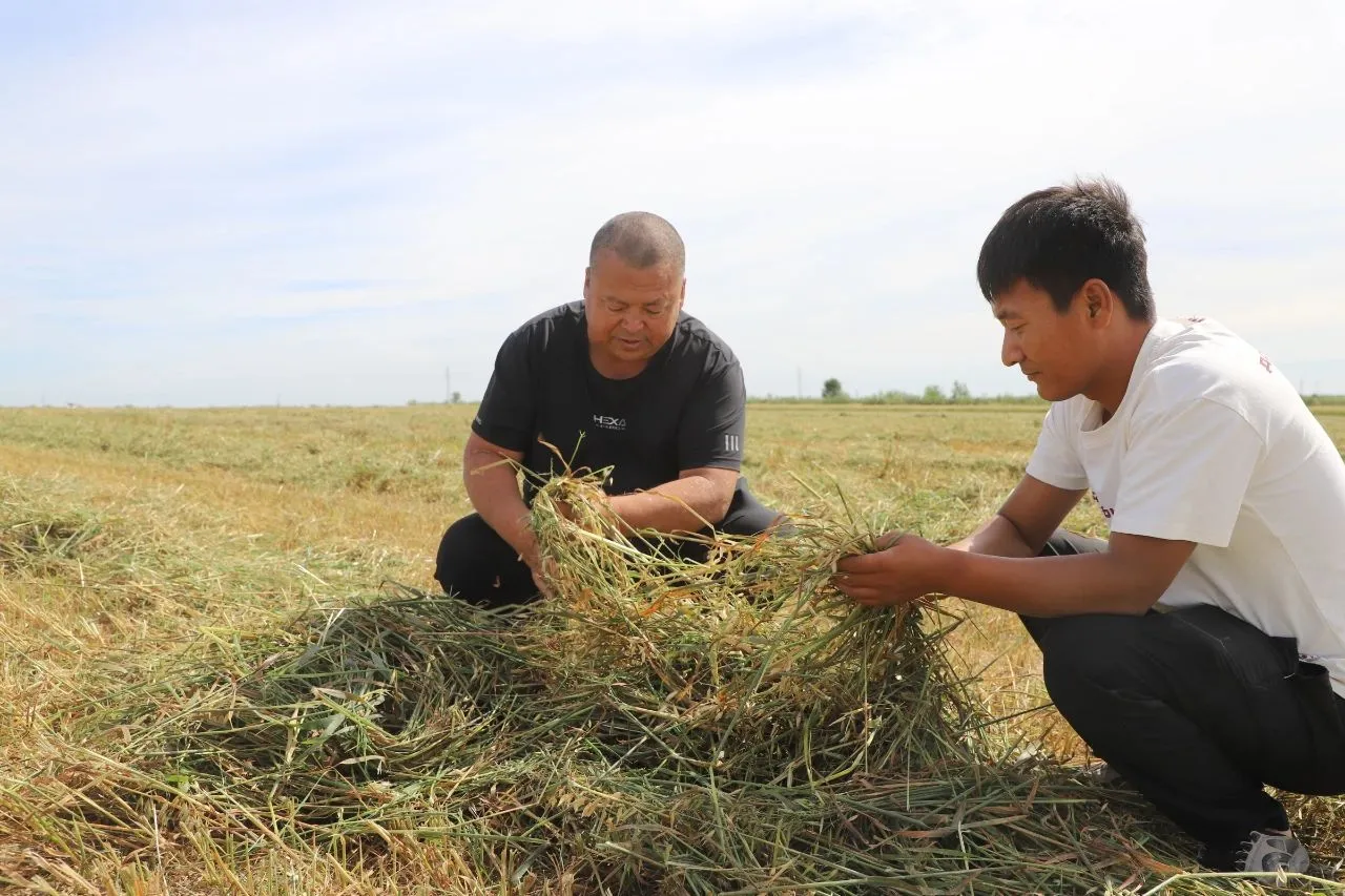 ͻȪ����Ķ������ջ�æ?