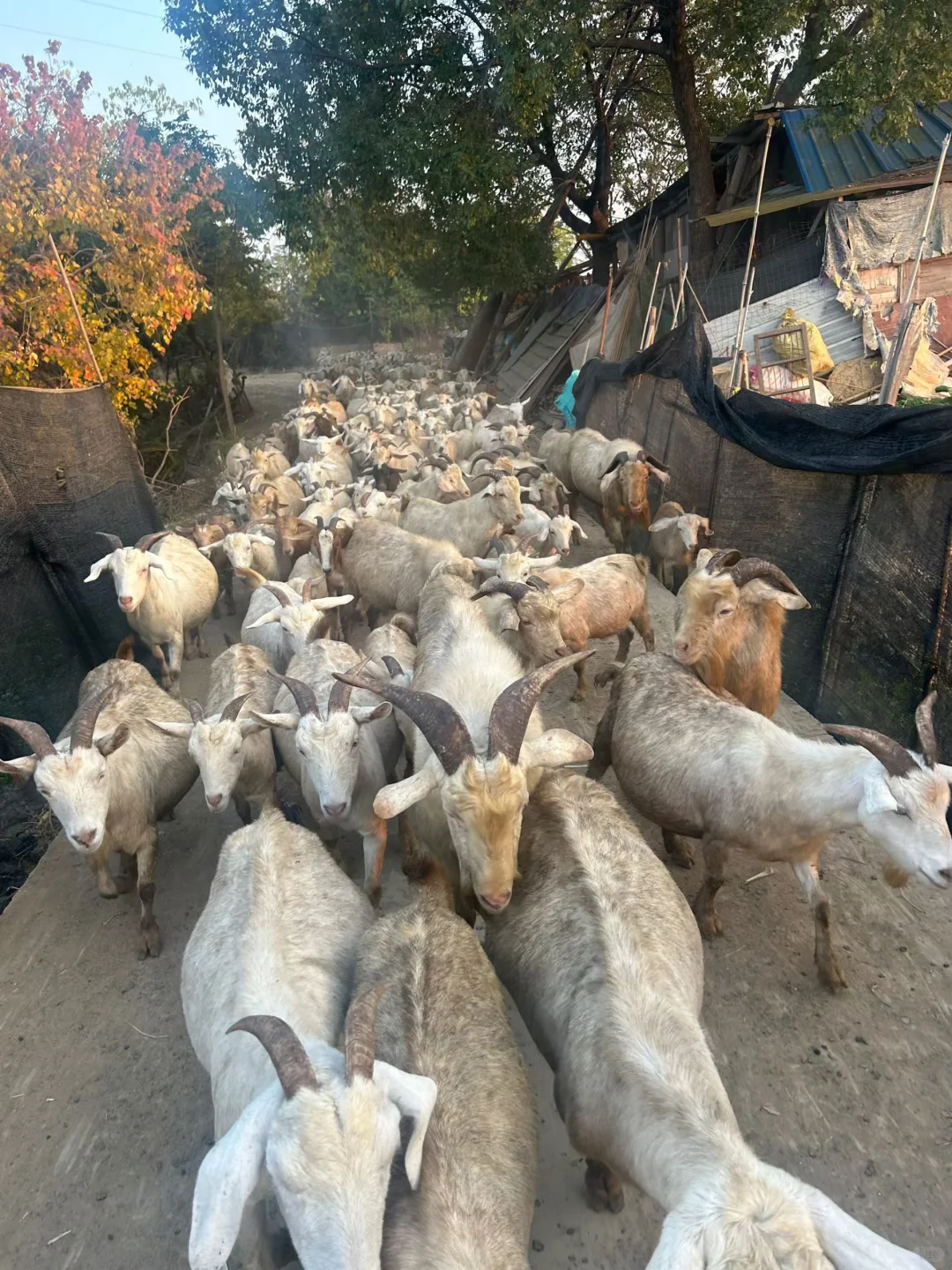 �����ˣ���������???