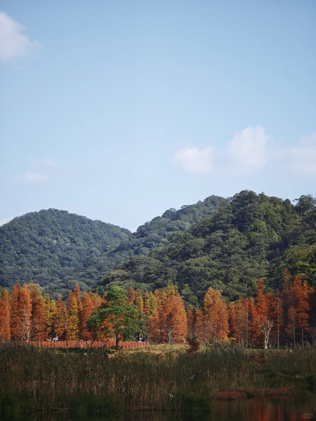 �ڹ㶫���ҵ��˺��õó��ֵ�����