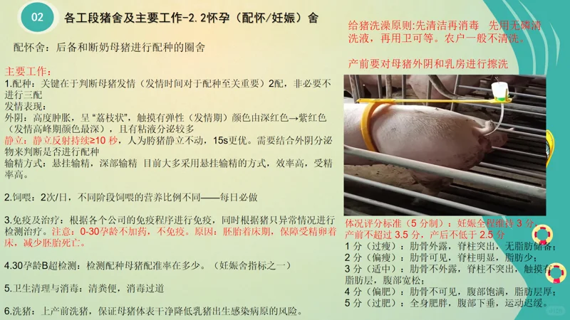 ����С�ױ����2�����������ἰ��Ҫ����