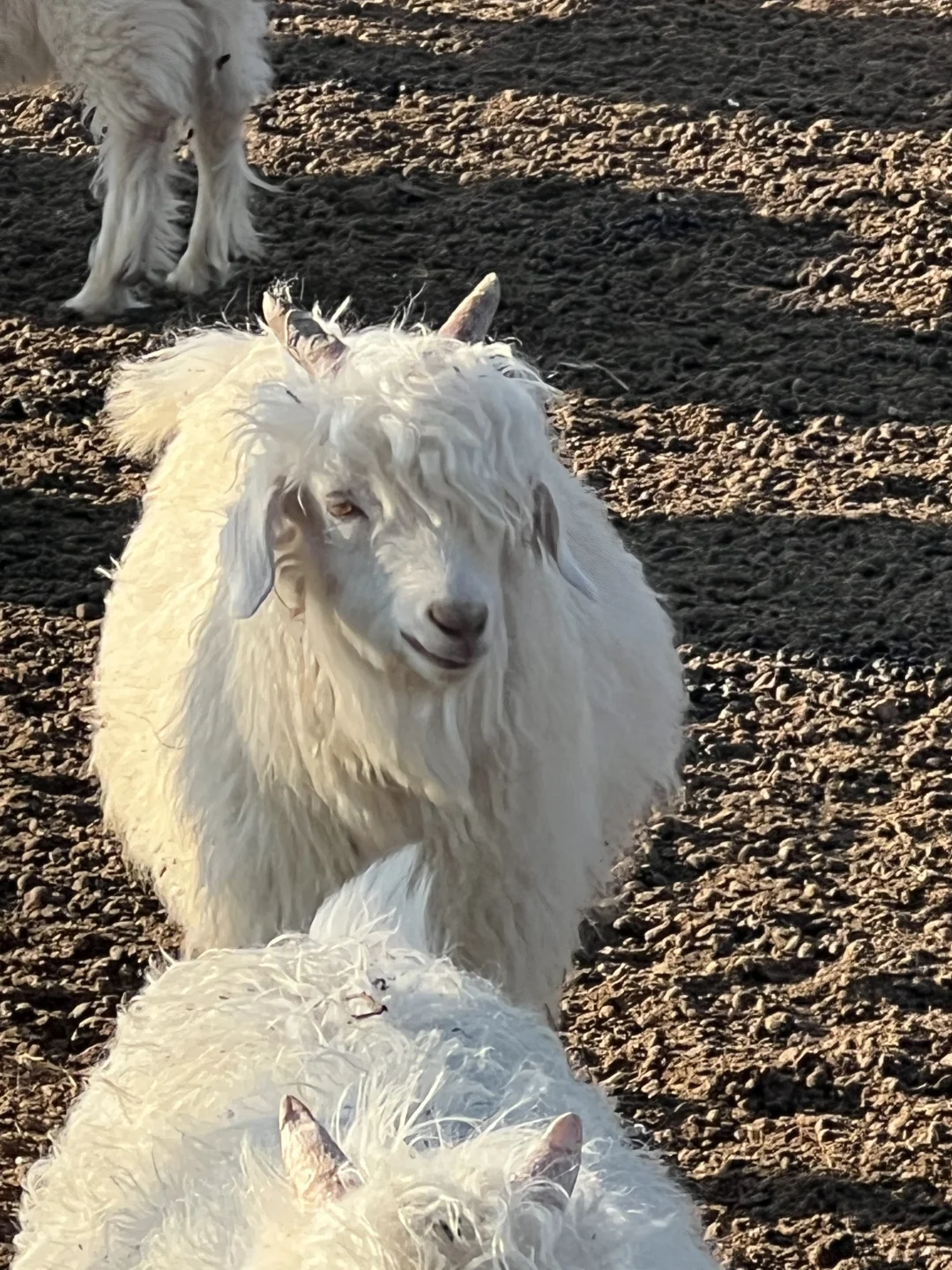 �۷��Ͷ�С�����Ҫ��?