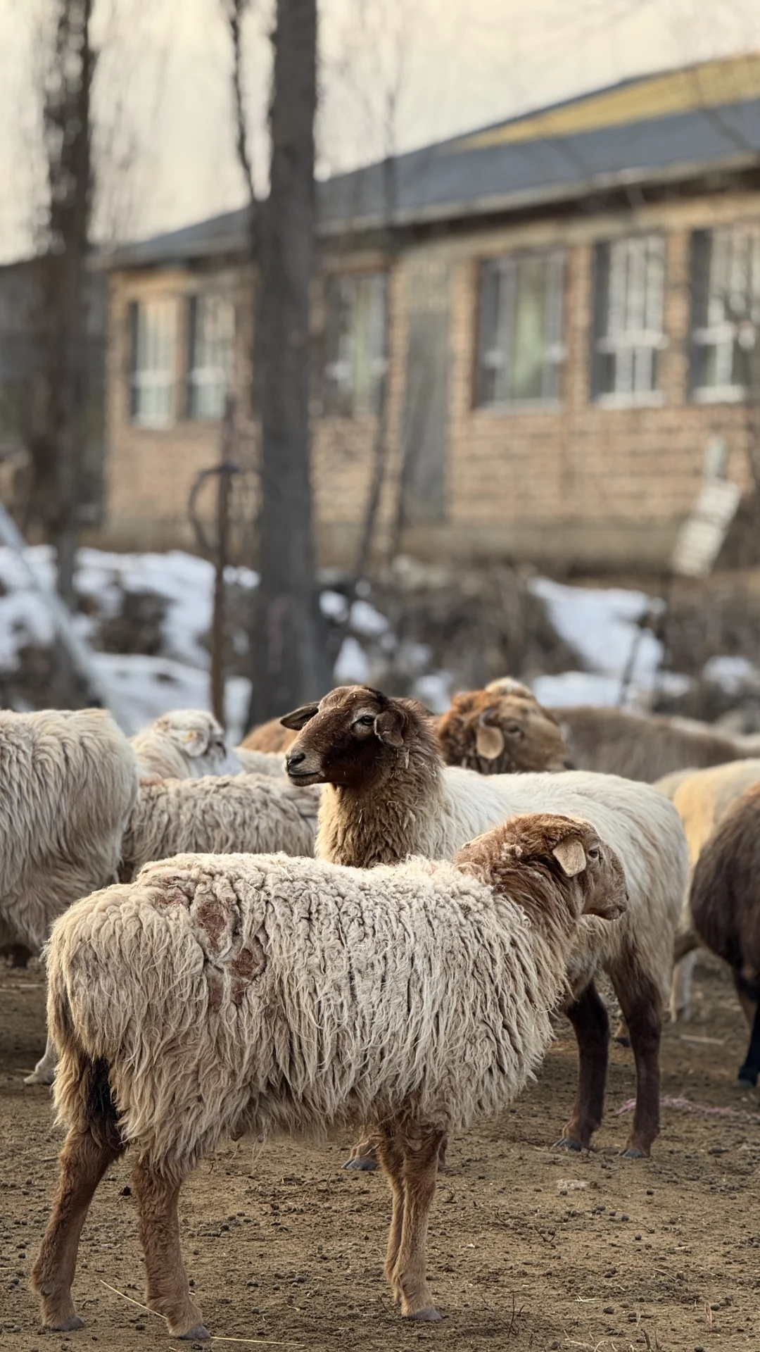 �����½���С������С���