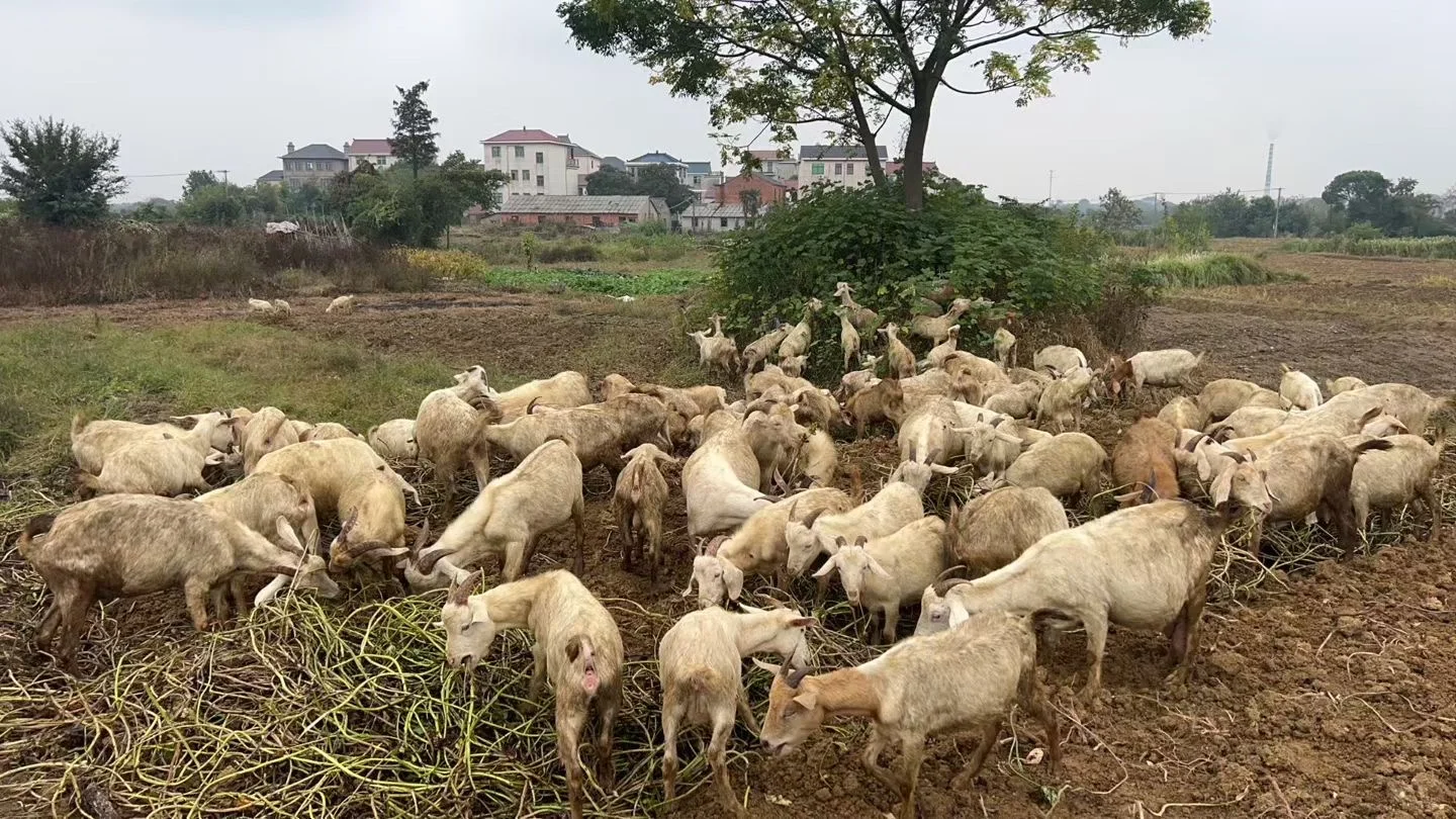 �����ˣ���������???