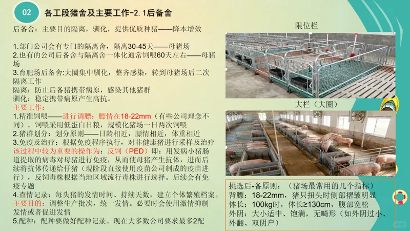 ����С�ױ����2�����������ἰ��Ҫ����