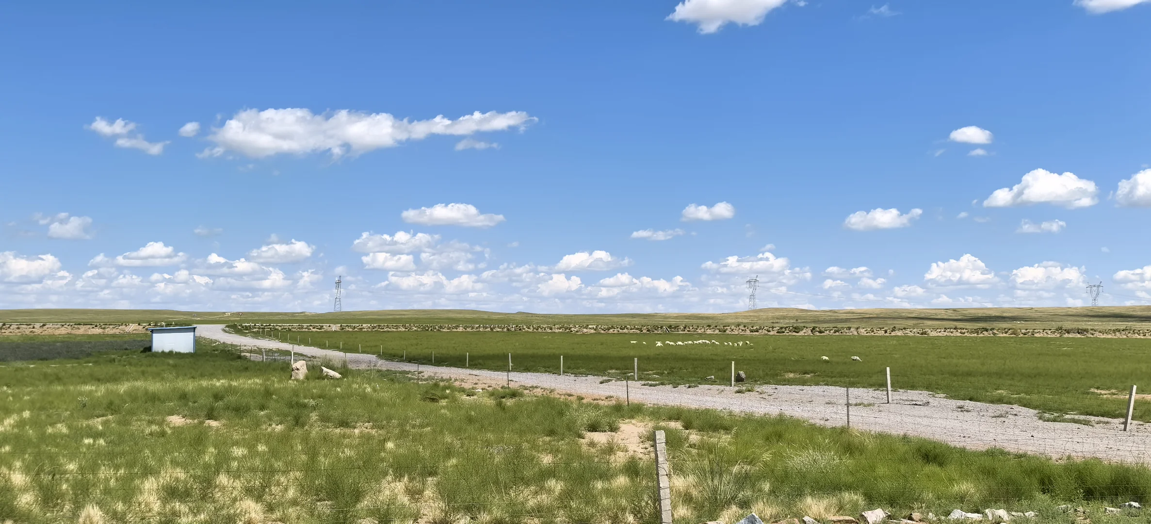 ��ԭ�����������컨��