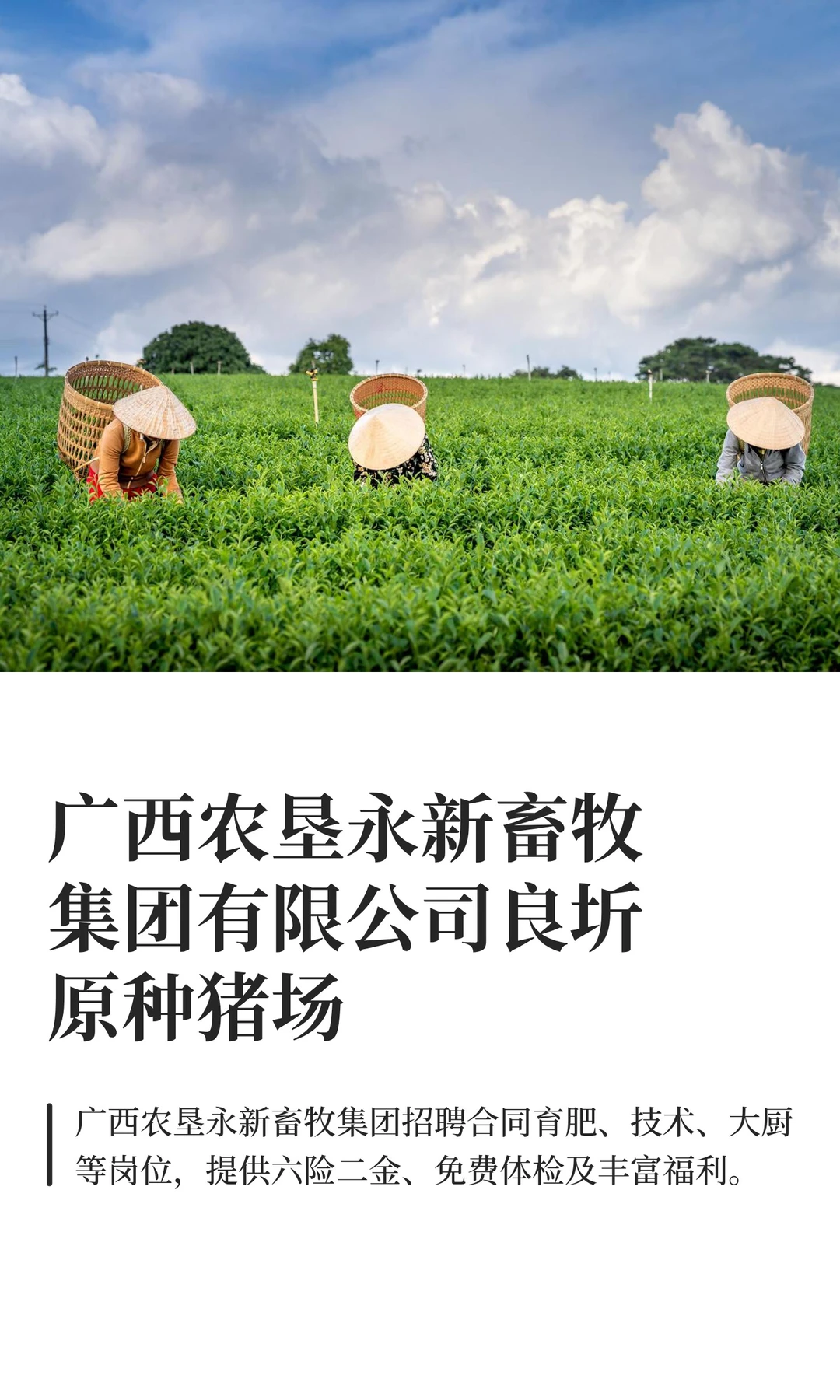 12��3�պõ�λ|����ũ�����������������޹�