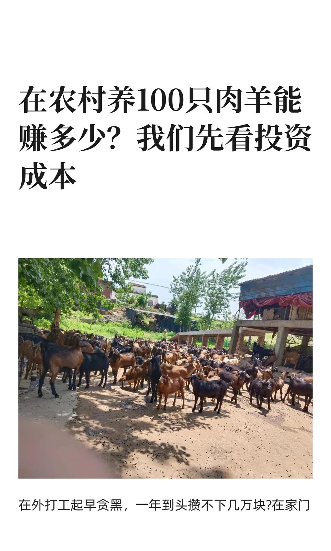 ��ũ����100ֻ������׬���٣������ȿ�Ͷ��