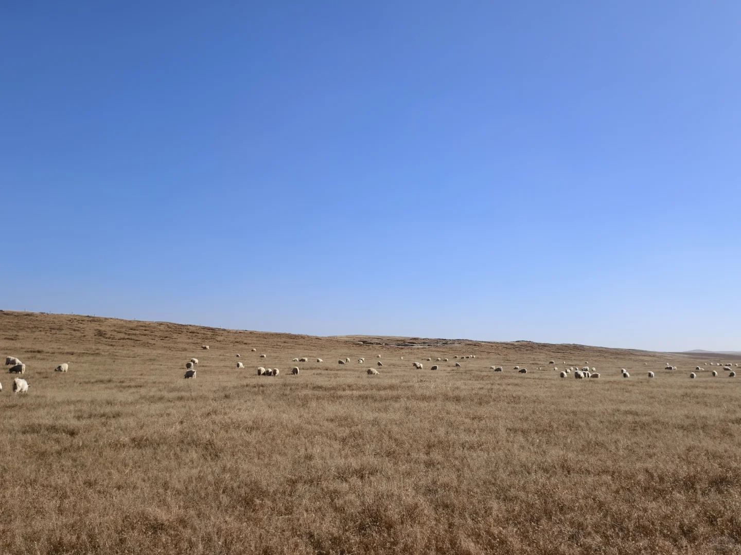 �����������������������˭���򰡣�