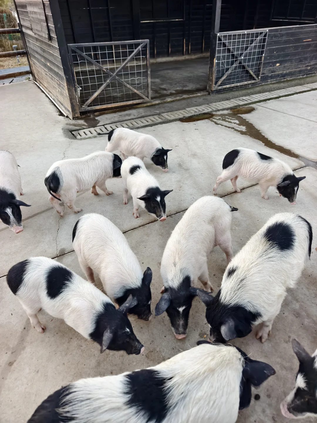 ��������������?