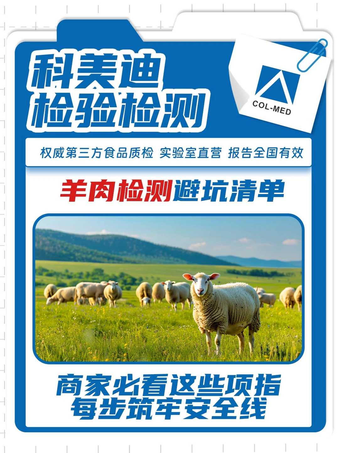 �����ⱨ�� ������ ��������Ŀ