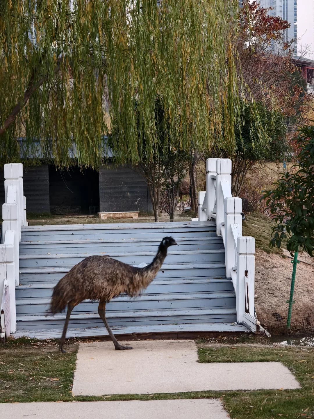 ��������������?