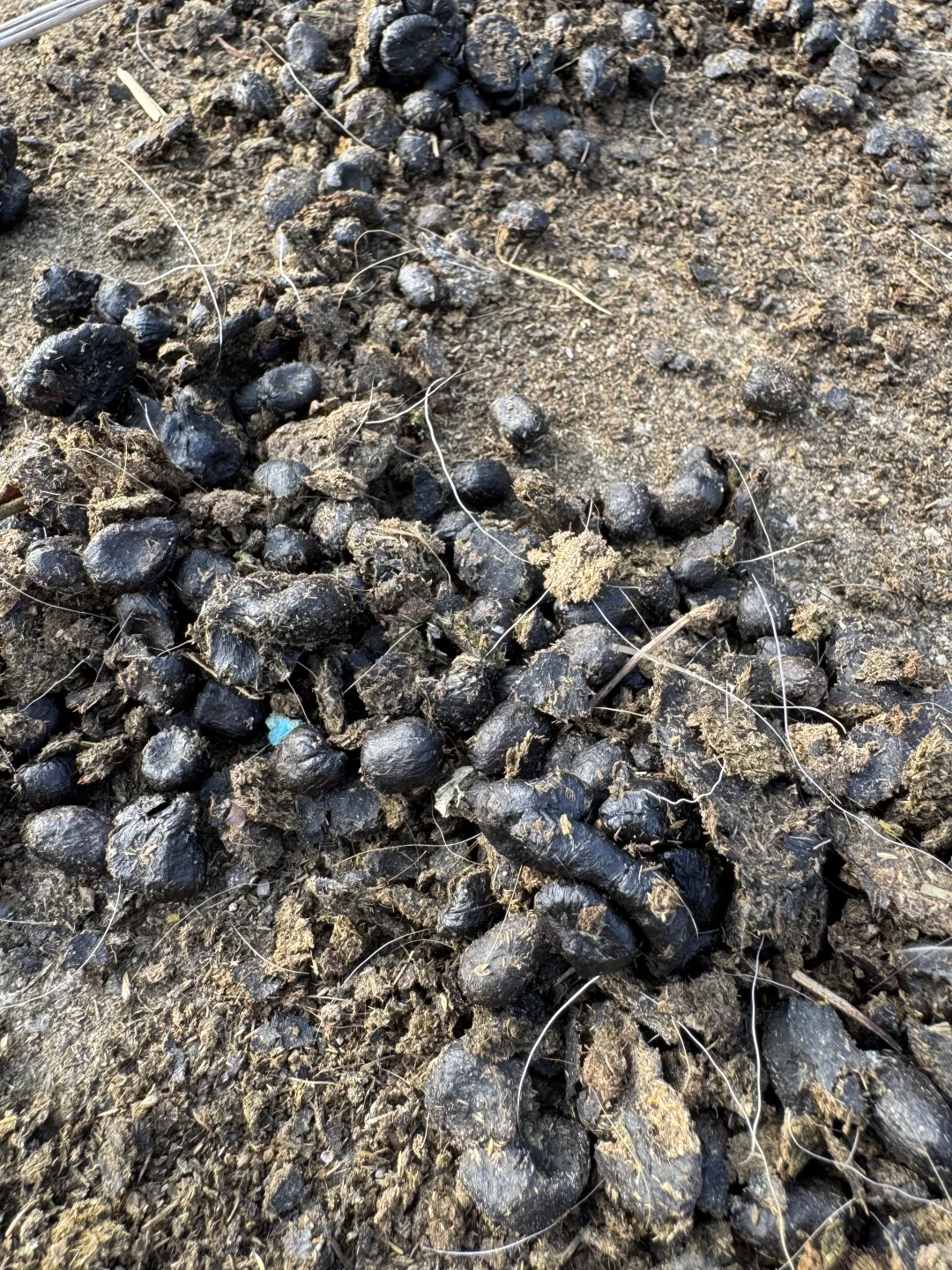 ������?��Ȼֲ�����