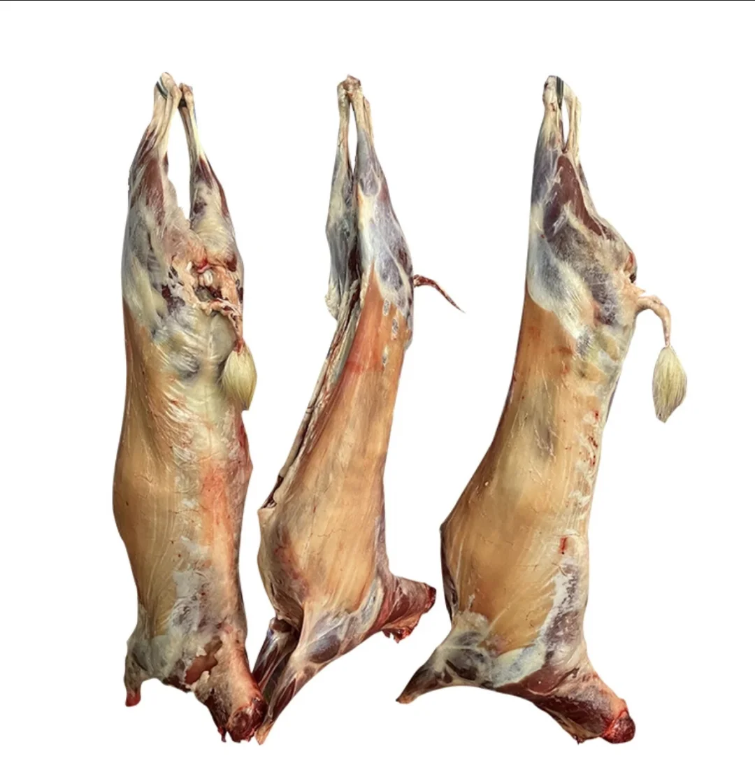 ������� ���껹���˳�������