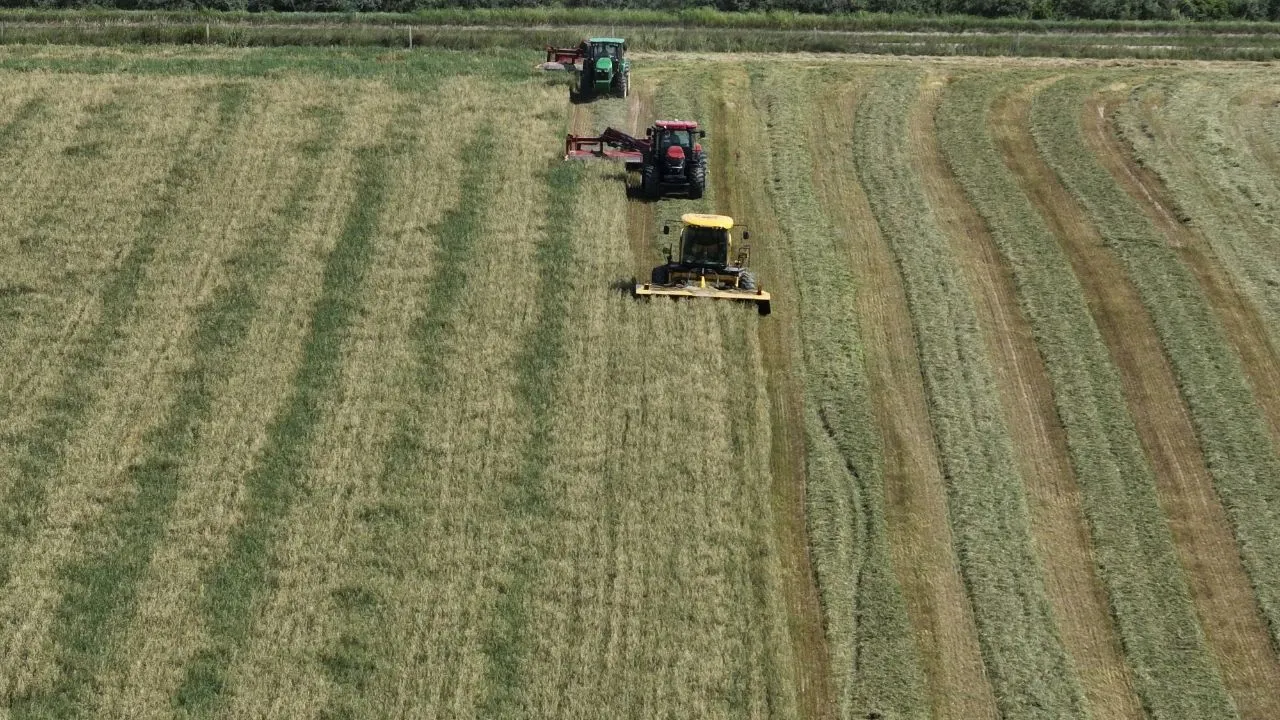 ͻȪ����Ķ������ջ�æ?