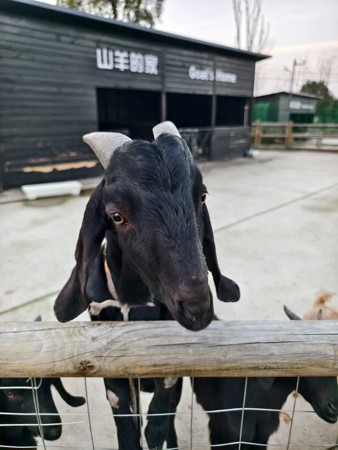 ��������������?