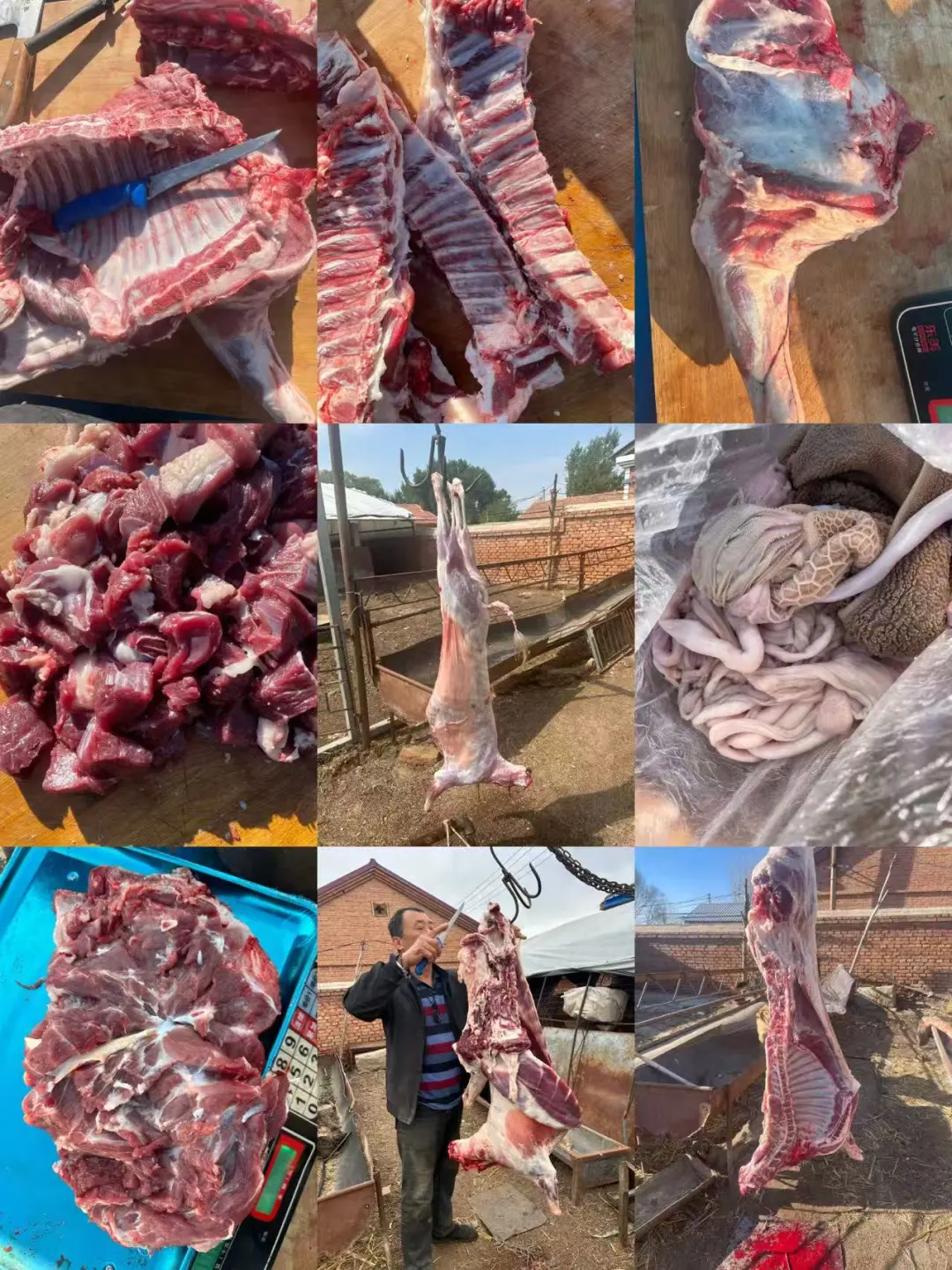 �Լ�ũ��ɢ�������򣬰�������Ŀ�����