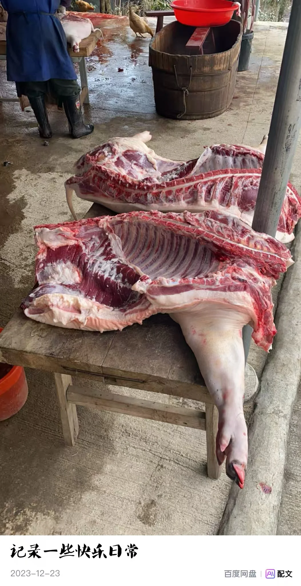 ��ʦ�ֳ��������