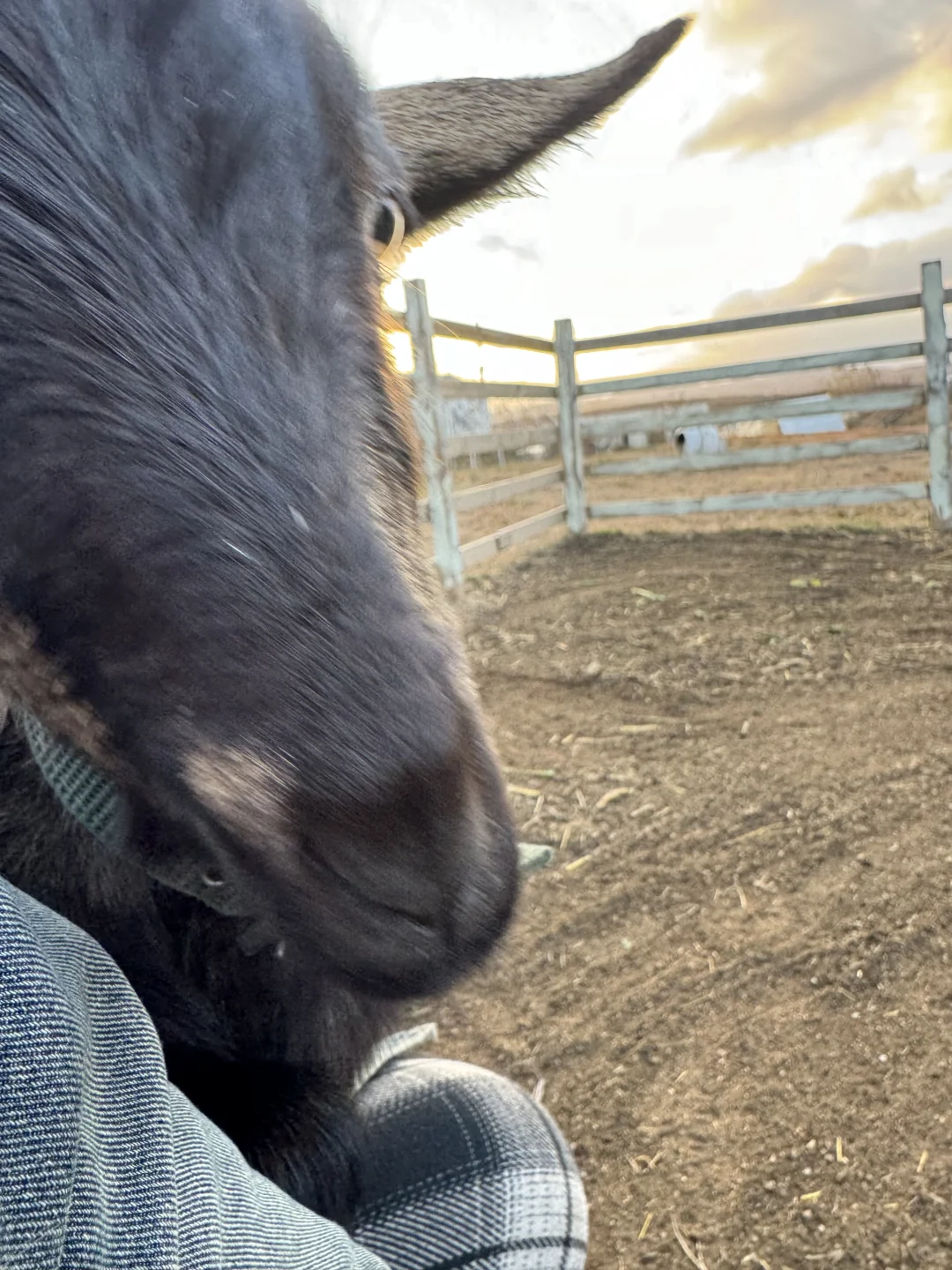 ��ã��׸���Ȧ