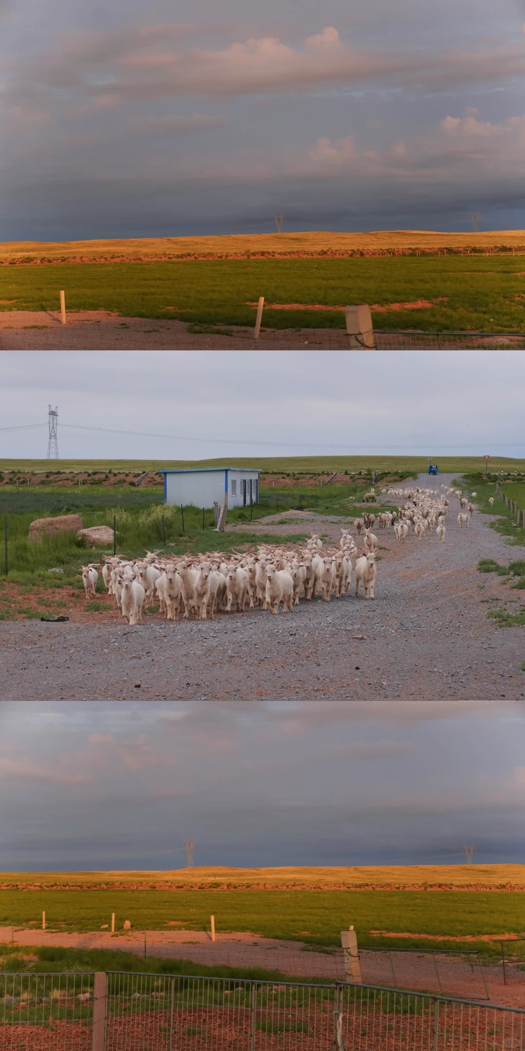 ��ԭ�����������컨��