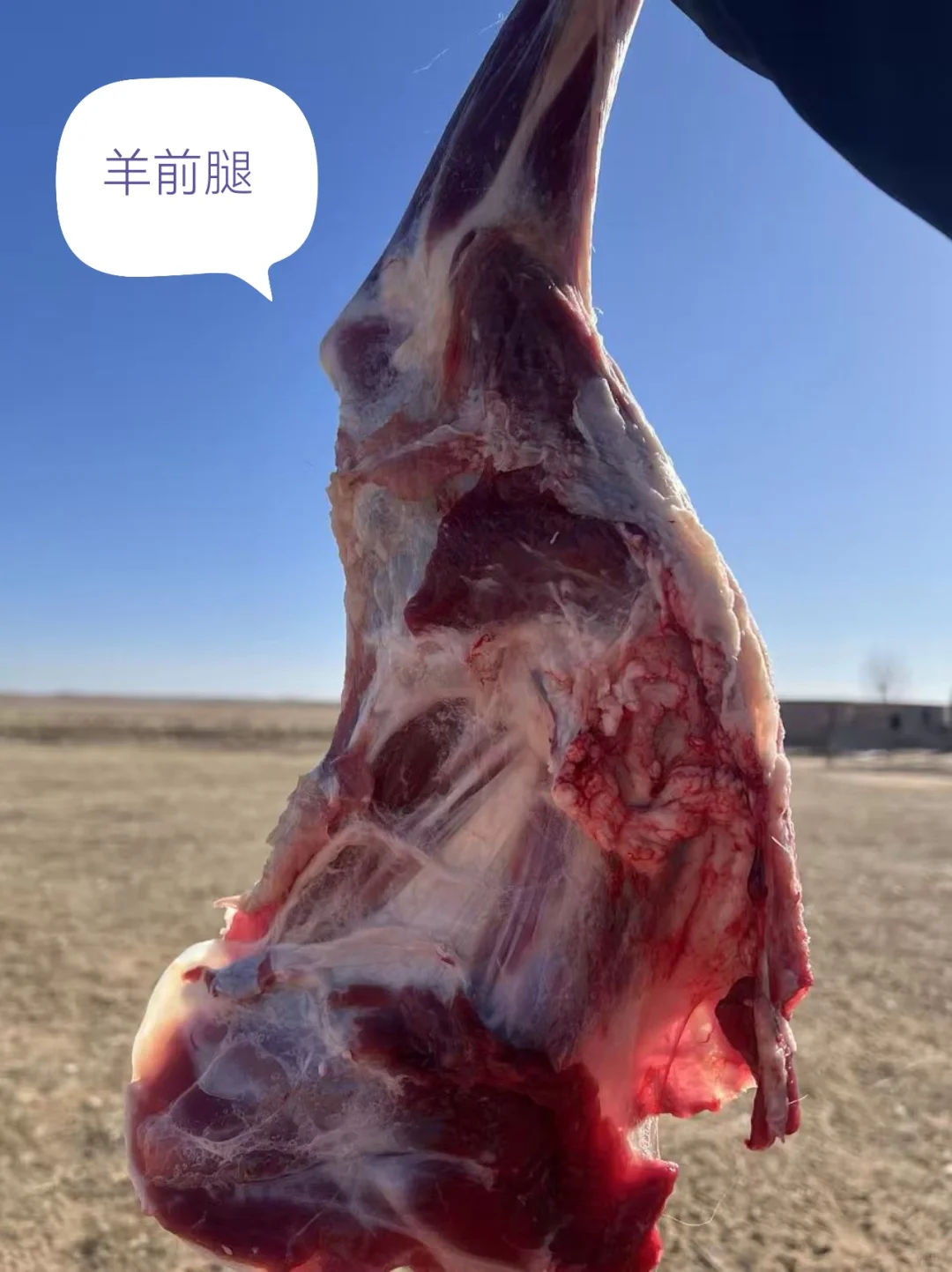 ����ܶ౦�������ҼҲ�ԭ�����