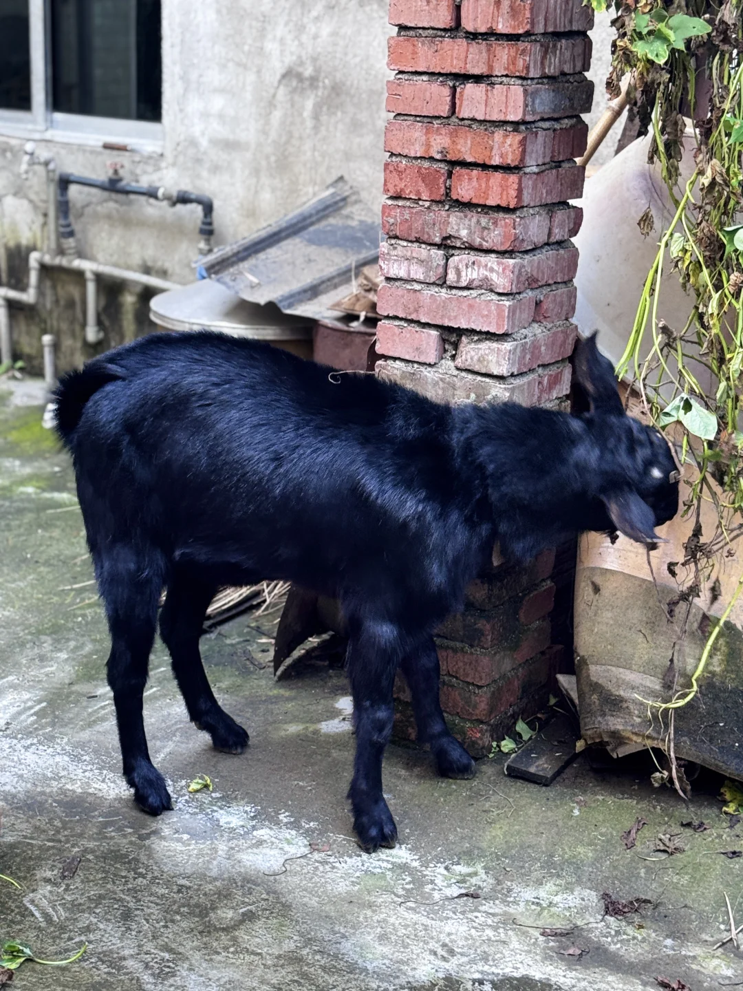 �ɶ�������������ʳι���������