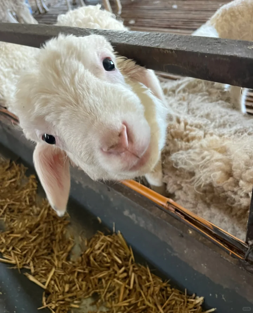 ����������??�¿�������������?