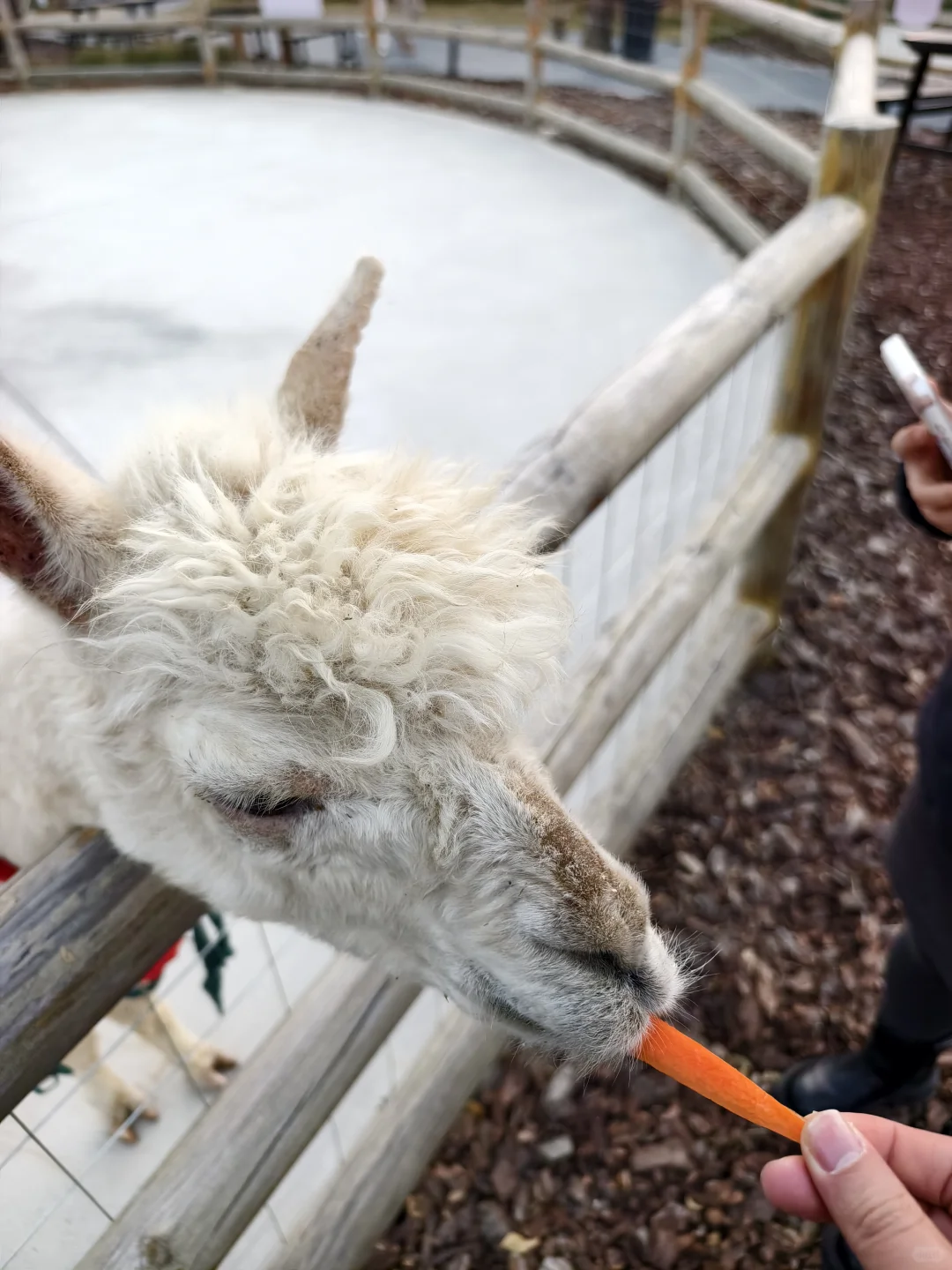 ��������������?