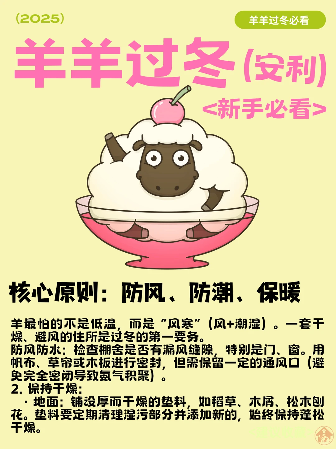 �����������ҵĳ������չ˳ɡ�С��������