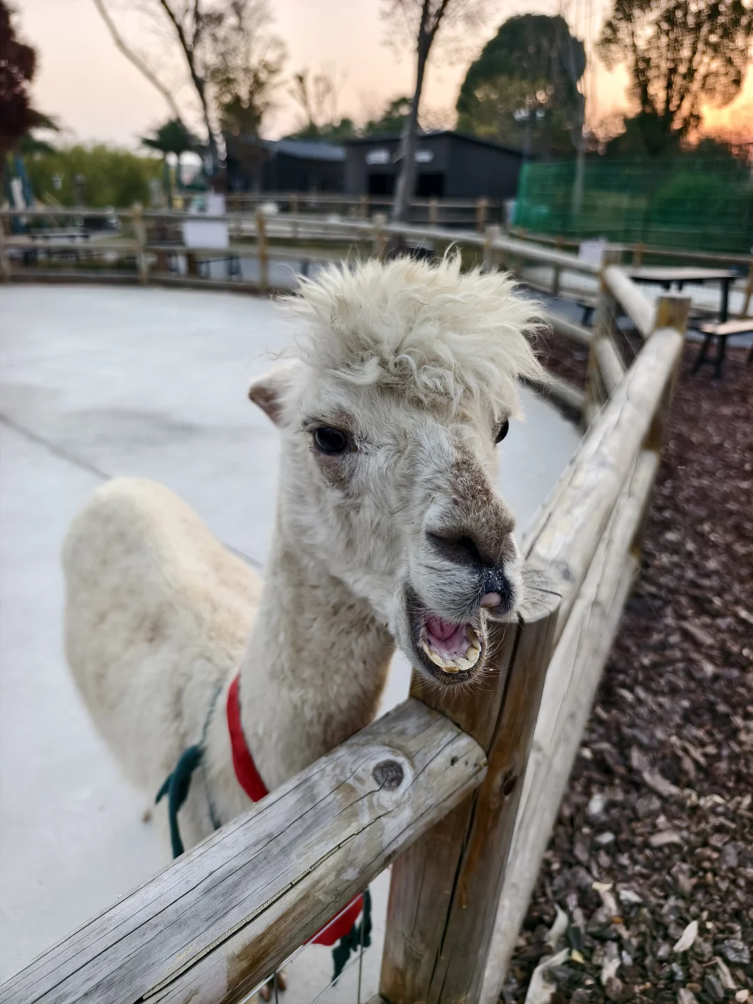 ��������������?