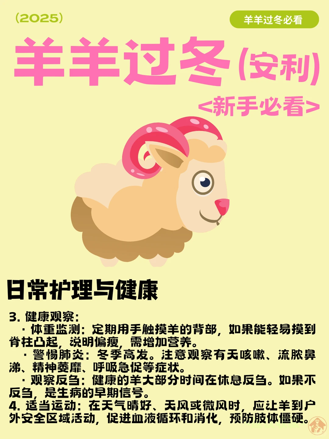 �����������ҵĳ������չ˳ɡ�С��������