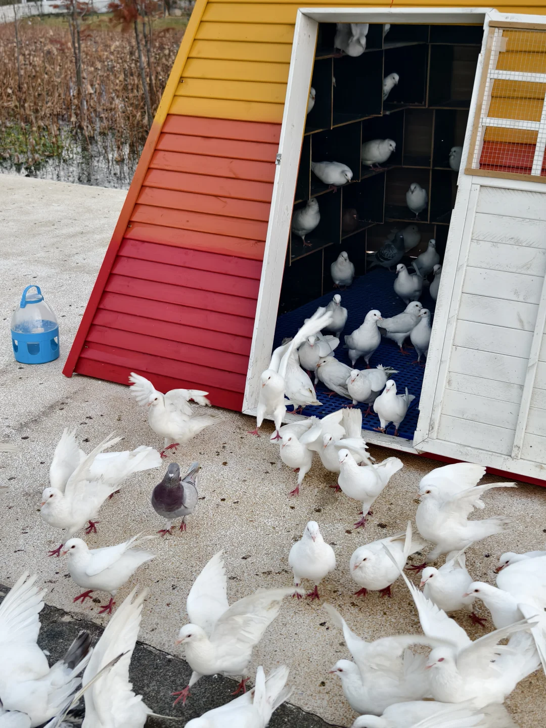 ��������������?