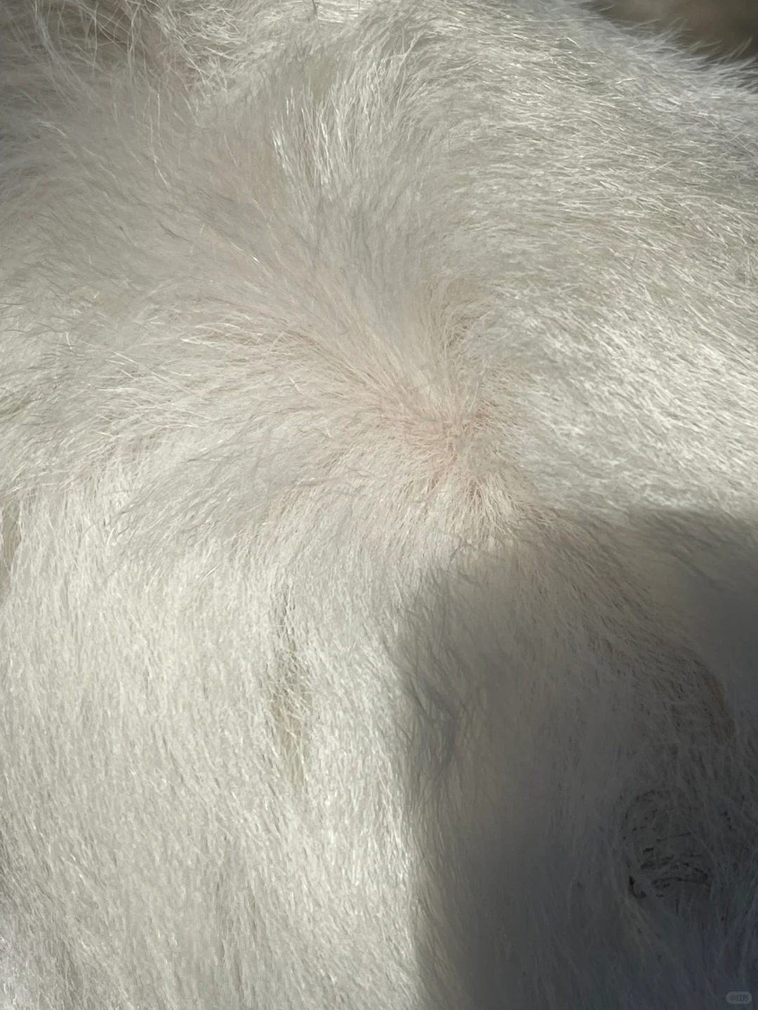 С��ë�ˣ����ģ�ë���޵ġ�