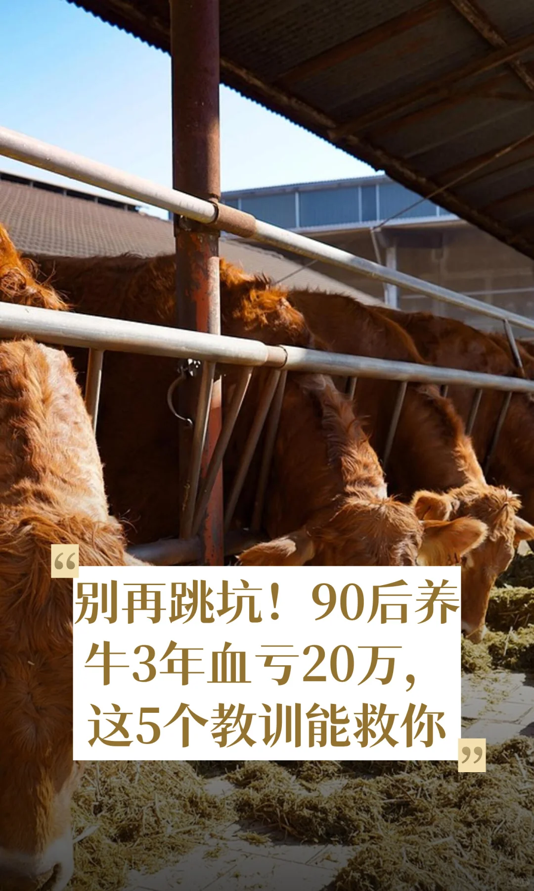 �������ӣ�90����ţ3��Ѫ��20����5����ѵ